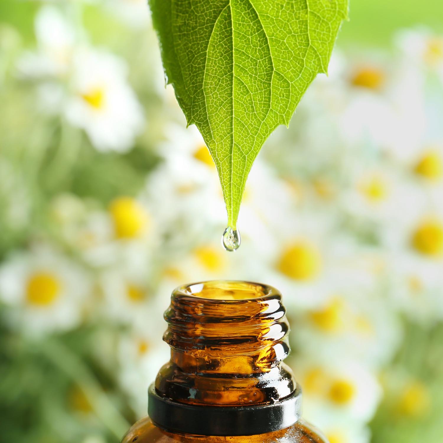 Aromathérapie, Pharmacie des Frandres à Arques, Longuenesse, Saint-Omer